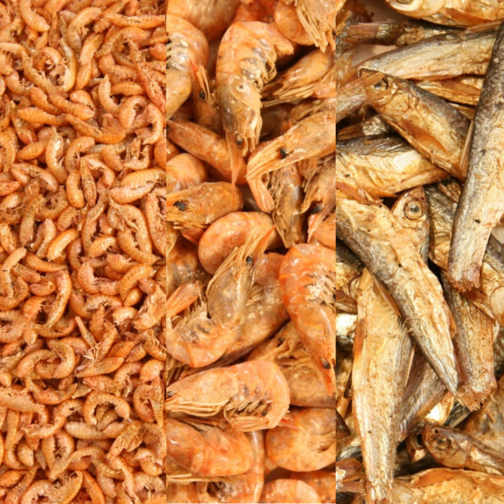 Suszony Mix dla Żółwi Gadów Wodnych 3x200g Gammarus Krewetki Stynka Pokarm